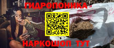 скорость Пушкино