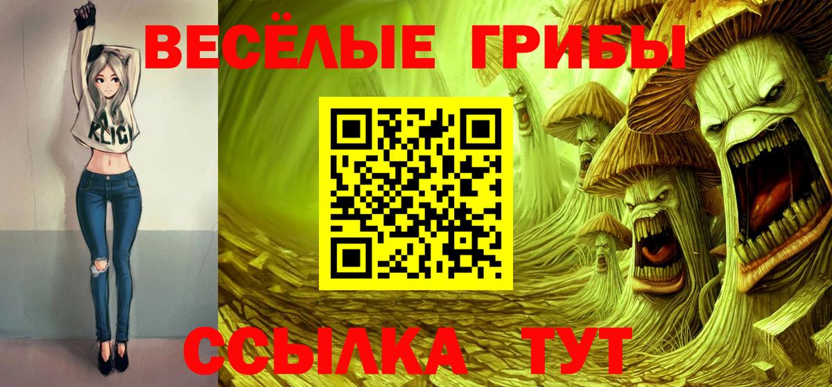Псилоцибиновые грибы Psilocybe  Вход с VPN  Всеволожск 
